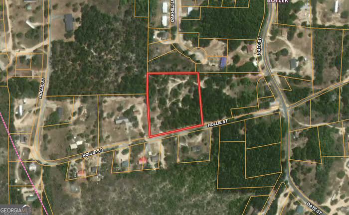 photo 2: Hollie Street Unit 2.32 ACRES, Butler GA 31006