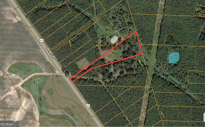 photo 6: US 41 Unit 5 ACRES, Unadilla GA 31091