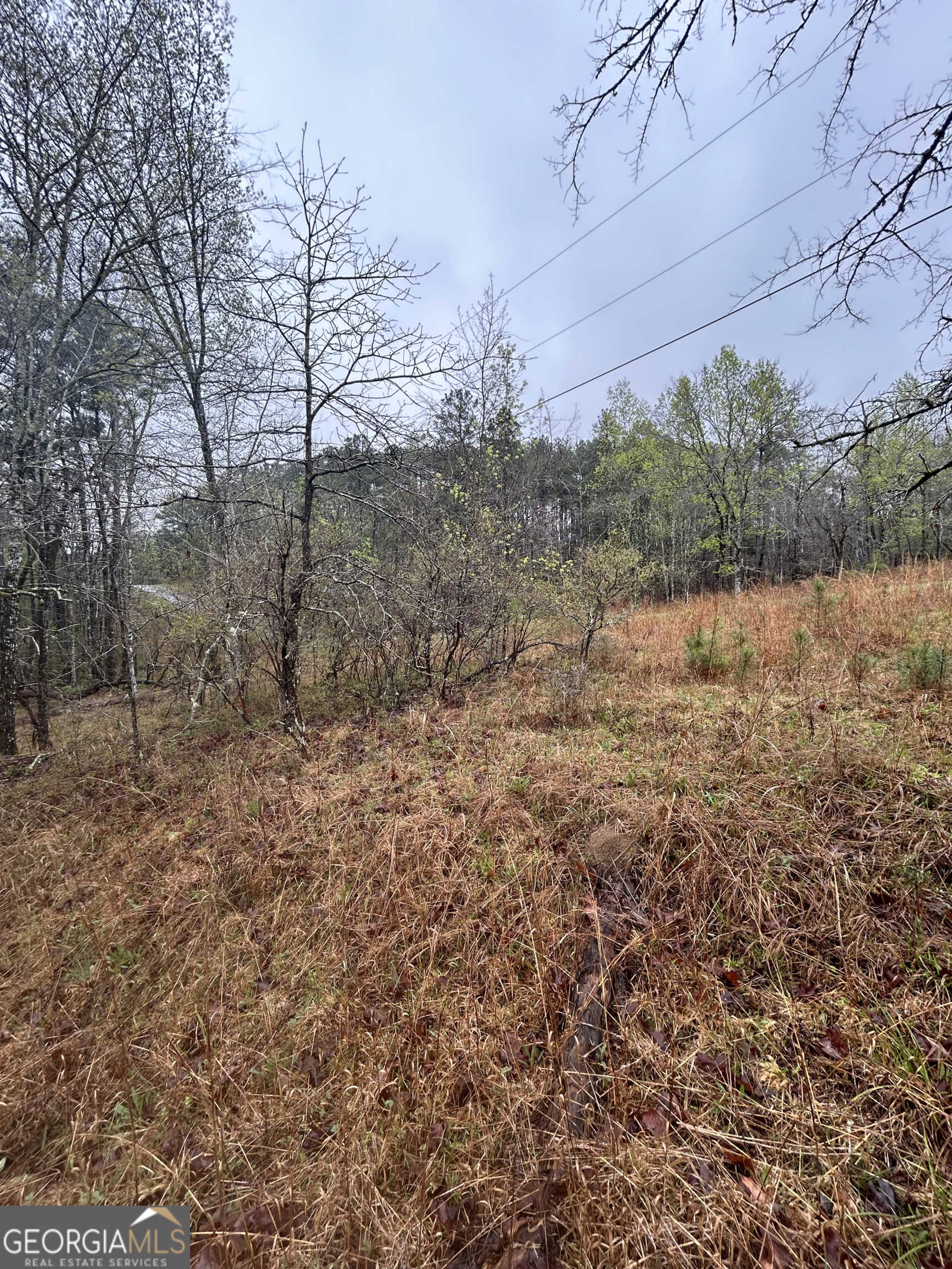 photo 2: River Ridge Trl, Sparta GA 31087