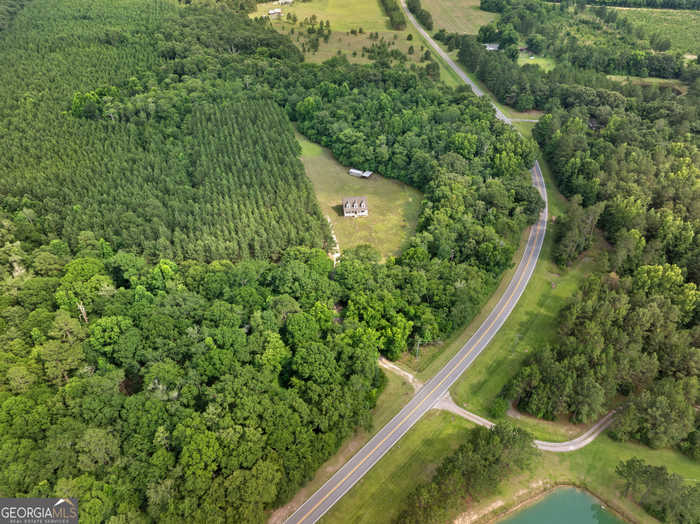 photo 35: 171 Old Poor Robin Road, Sylvania GA 30467