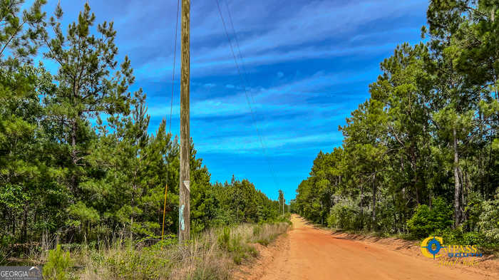 photo 6: Miller Road East, Mauk GA 31058