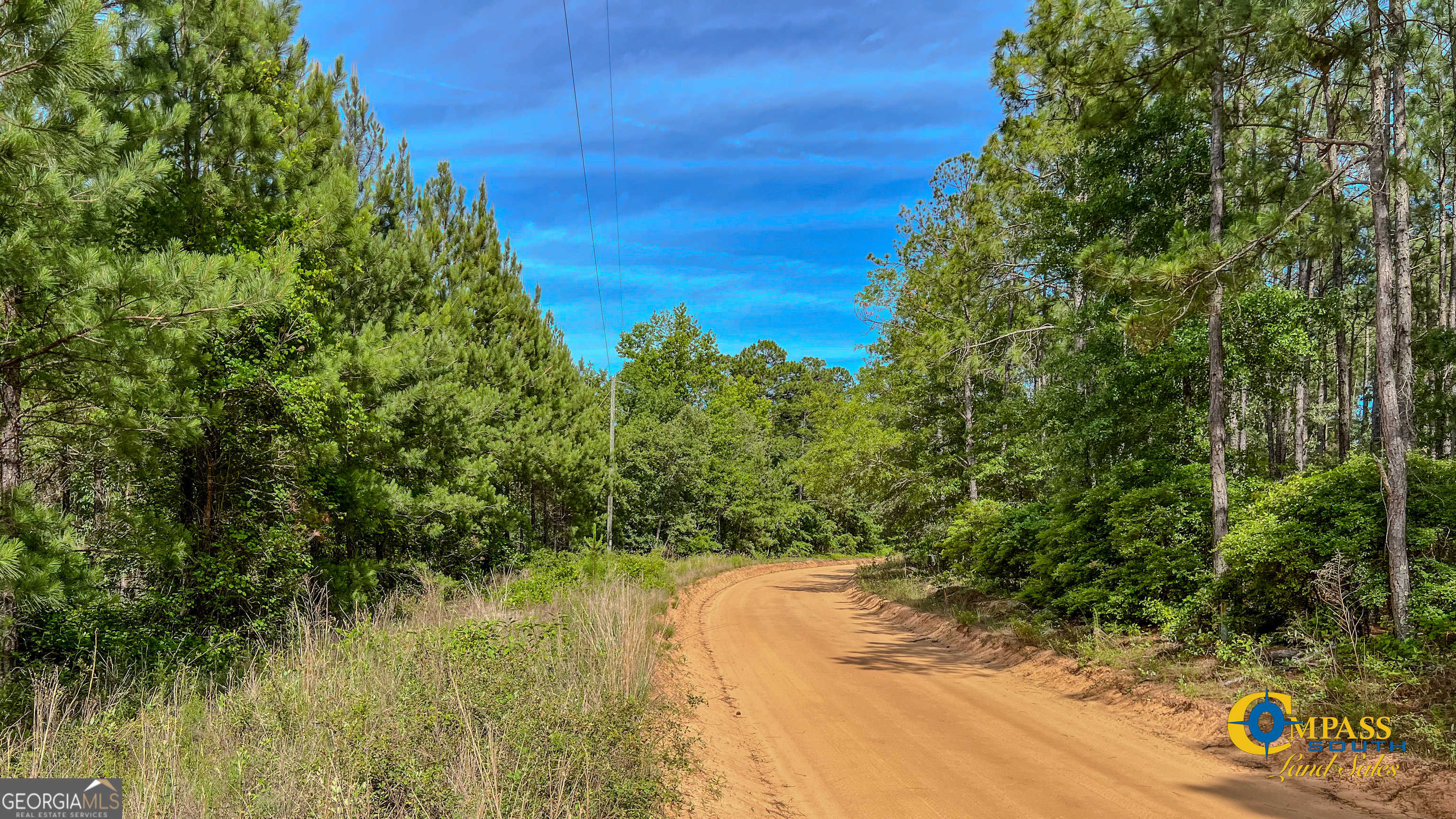 photo 3: Miller Road West, Mauk GA 31058