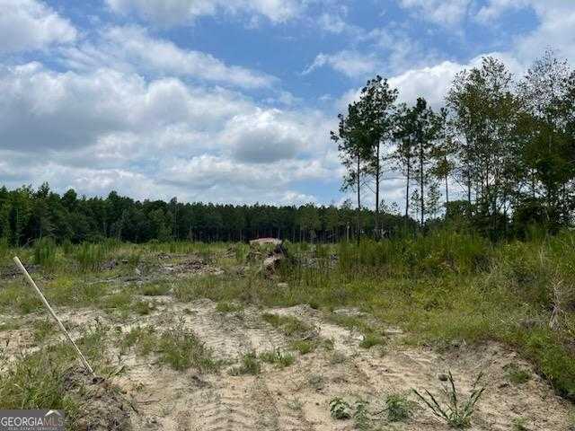 photo 3: Gooch Rd (Lot C), Eastman GA 31023