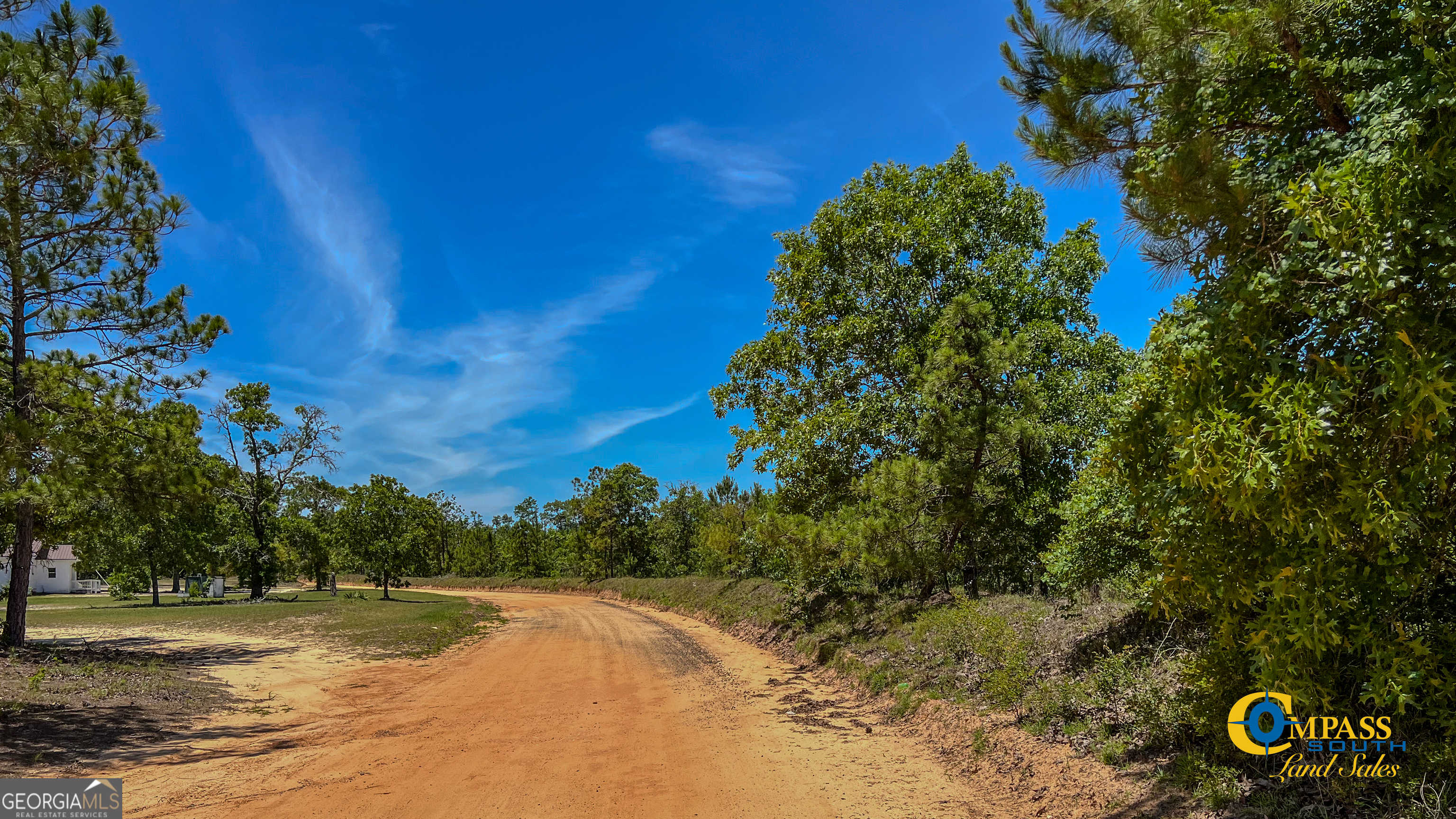 photo 3: Mount Sinia Church Road, Butler GA 31006