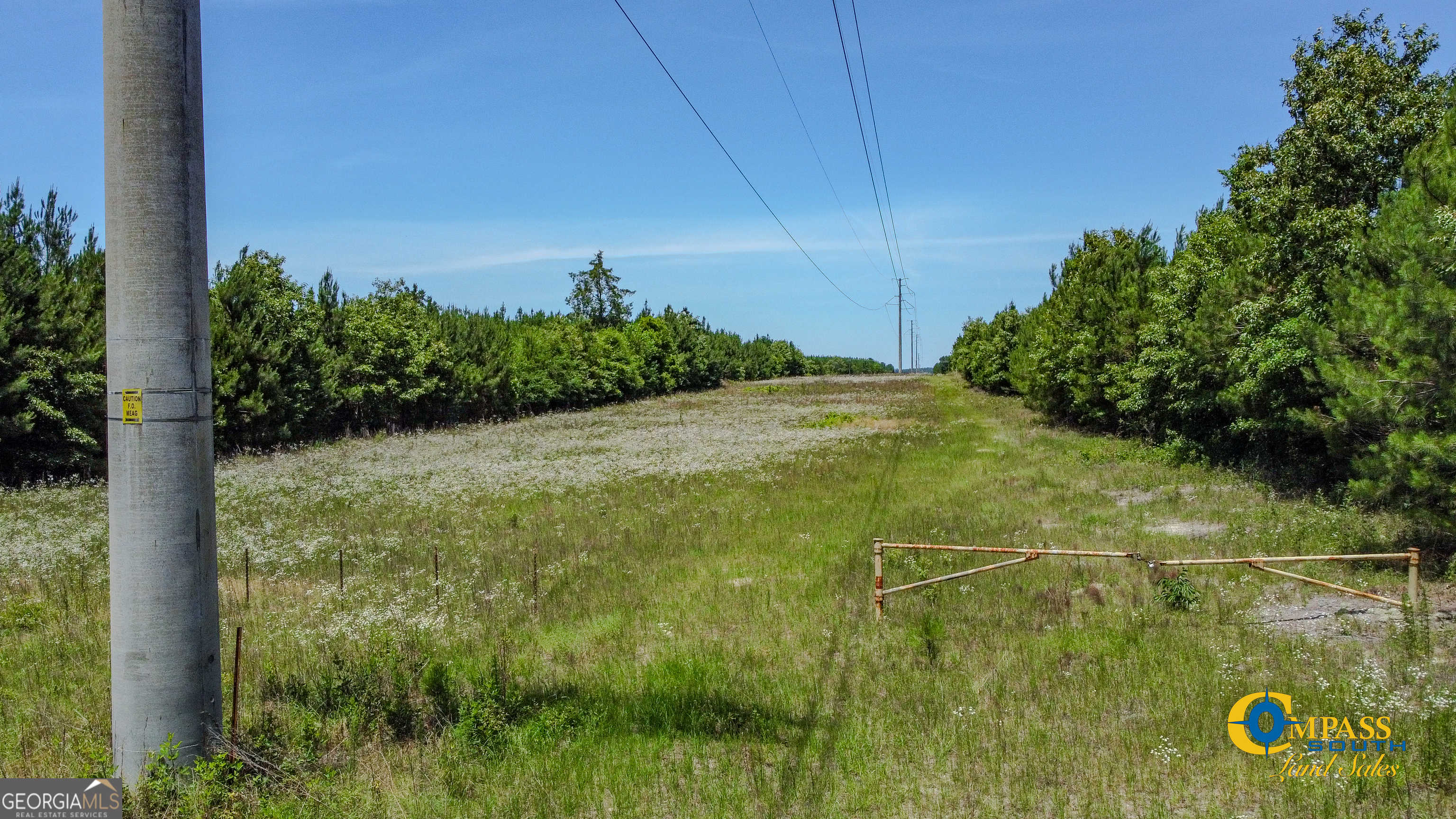 photo 2: Carpenter Road, Butler GA 31006