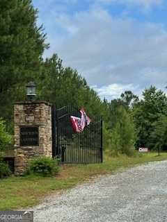 photo 3: Millstone Creek Road, Elberton GA 30635