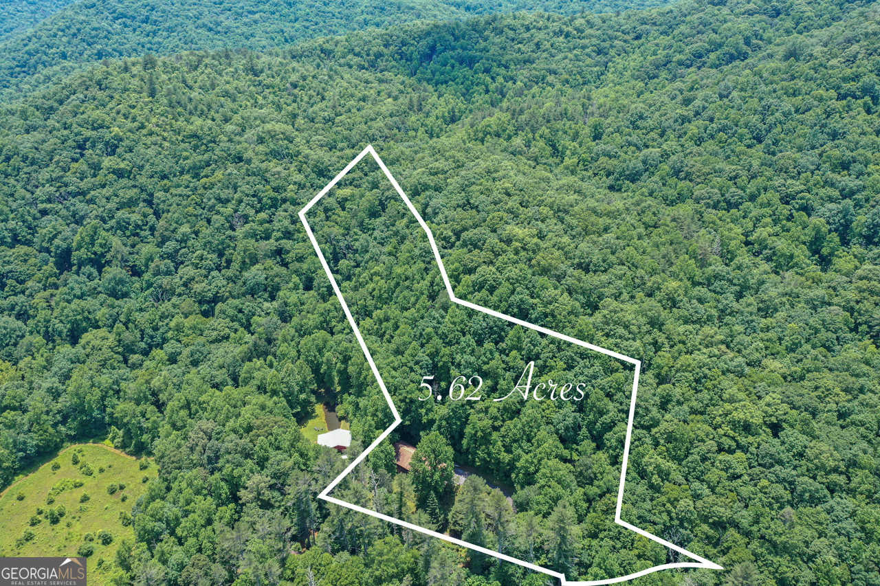 photo 3: 50 Scottarosa Lane, Rabun Gap GA 30568