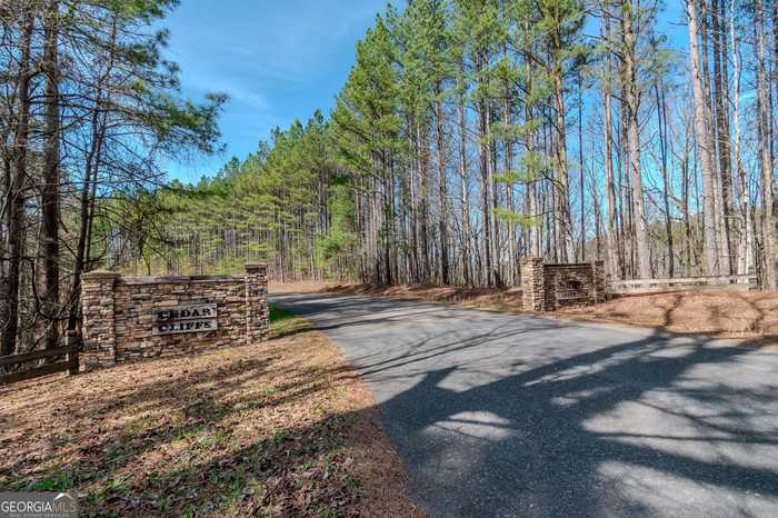 photo 28: LOT 1825 Vincent Way, Talking Rock GA 30175