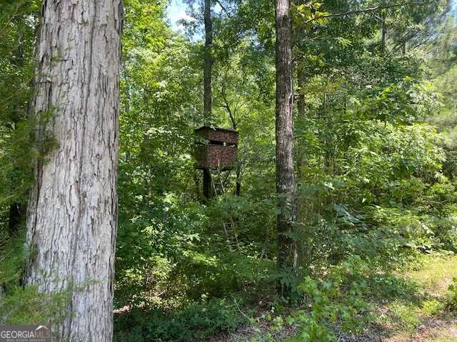 photo 1: TRACT 6 Sheppard Road, Franklin GA 30217