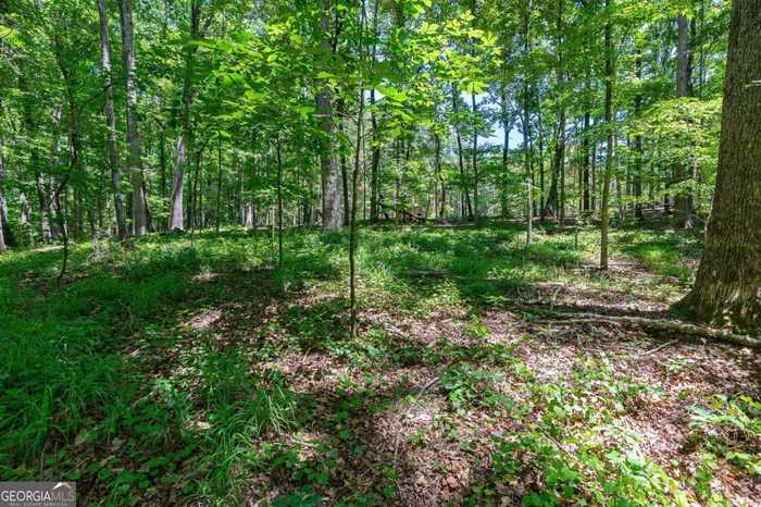 photo 3: Tall Oaks Road Unit TRACT 3, Watkinsville GA 30677