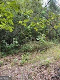 photo 3: Robert Rozier Rd ( Lot E), Eastman GA 31023