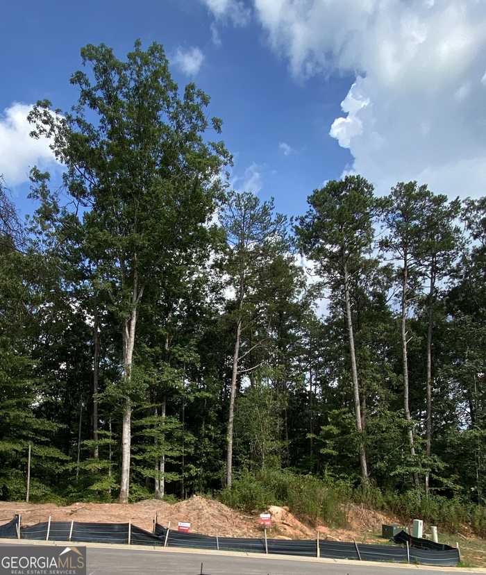 photo 1: 321 Quail Forest Circle (LOT 4), Toccoa GA 30577