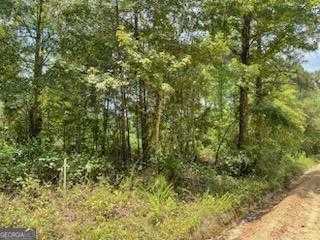 photo 1: Gooch Rd (Lot F), Eastman GA 31023