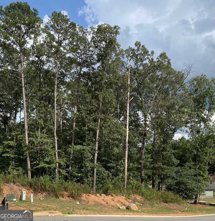 photo 1: 345 Quail Forest Circle (LOT 3), Toccoa GA 30577