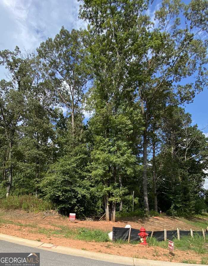 photo 2: 345 Quail Forest Circle (LOT 3), Toccoa GA 30577