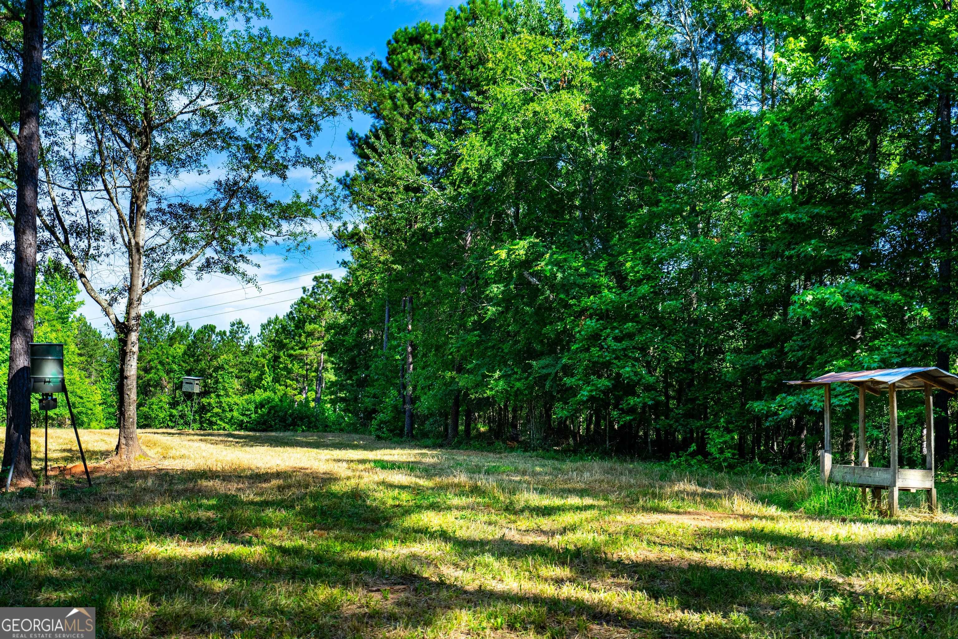 photo 2: County Line Church Road, Warm Springs GA 31830