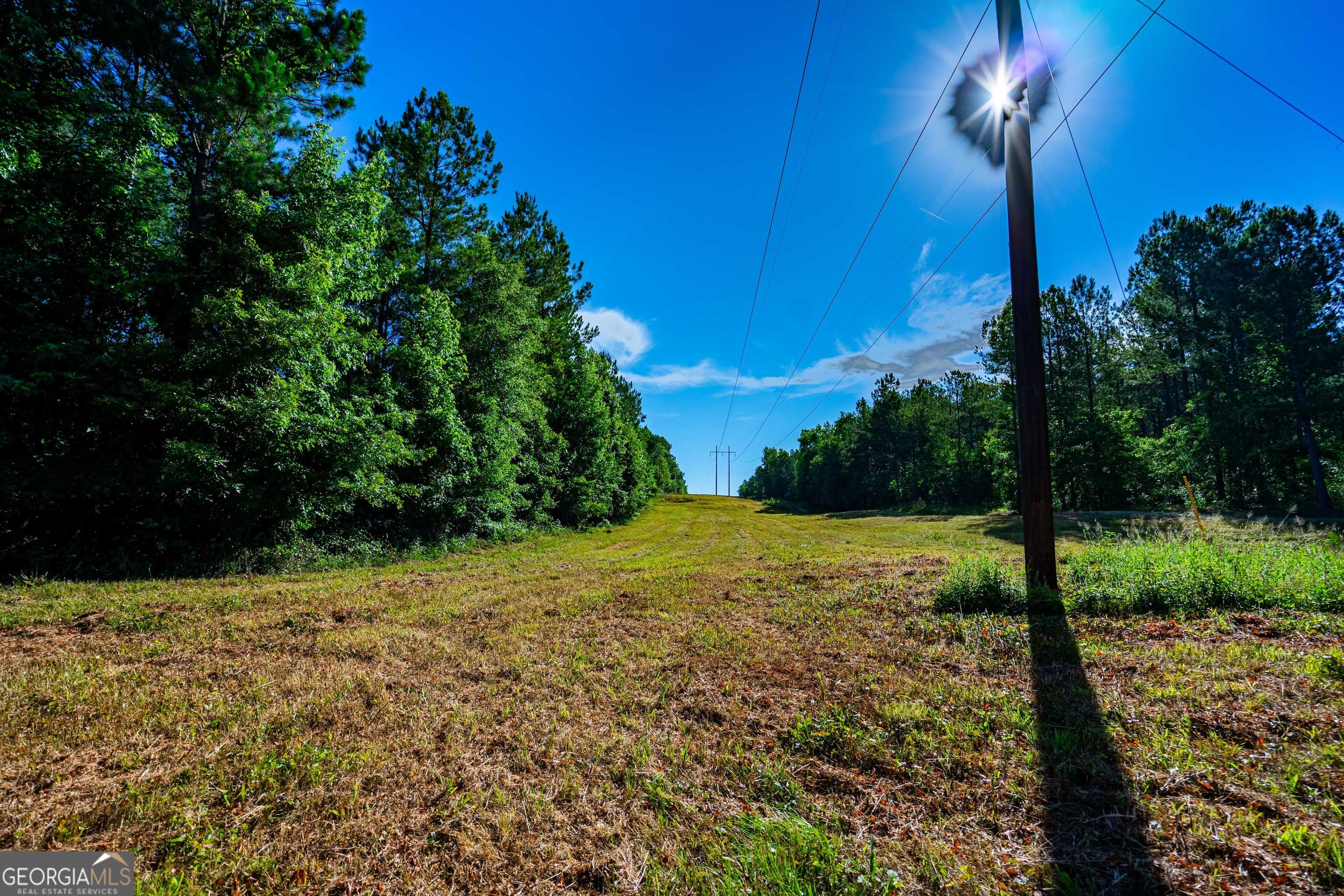 photo 3: County Line Church Road, Warm Springs GA 31830