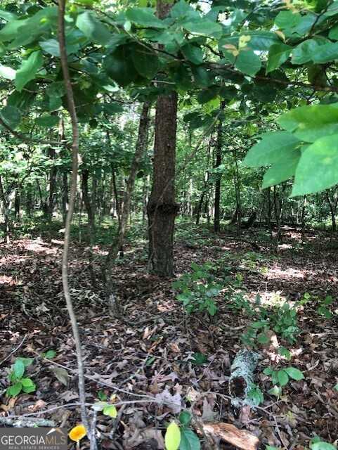 photo 1: LOT 1 Daniel Road, Demorest GA 30535