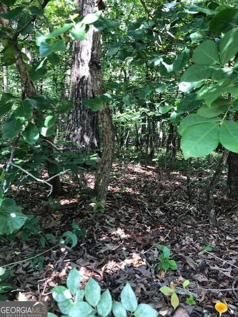 photo 2: LOT 1 Daniel Road, Demorest GA 30535