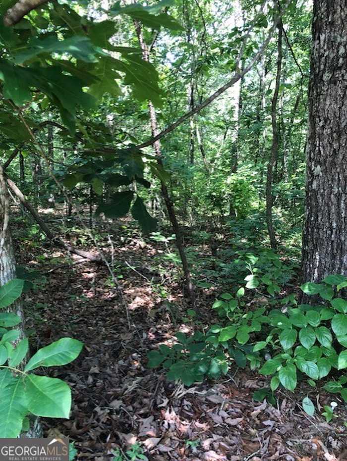 photo 3: LOT 1 Daniel Road, Demorest GA 30535