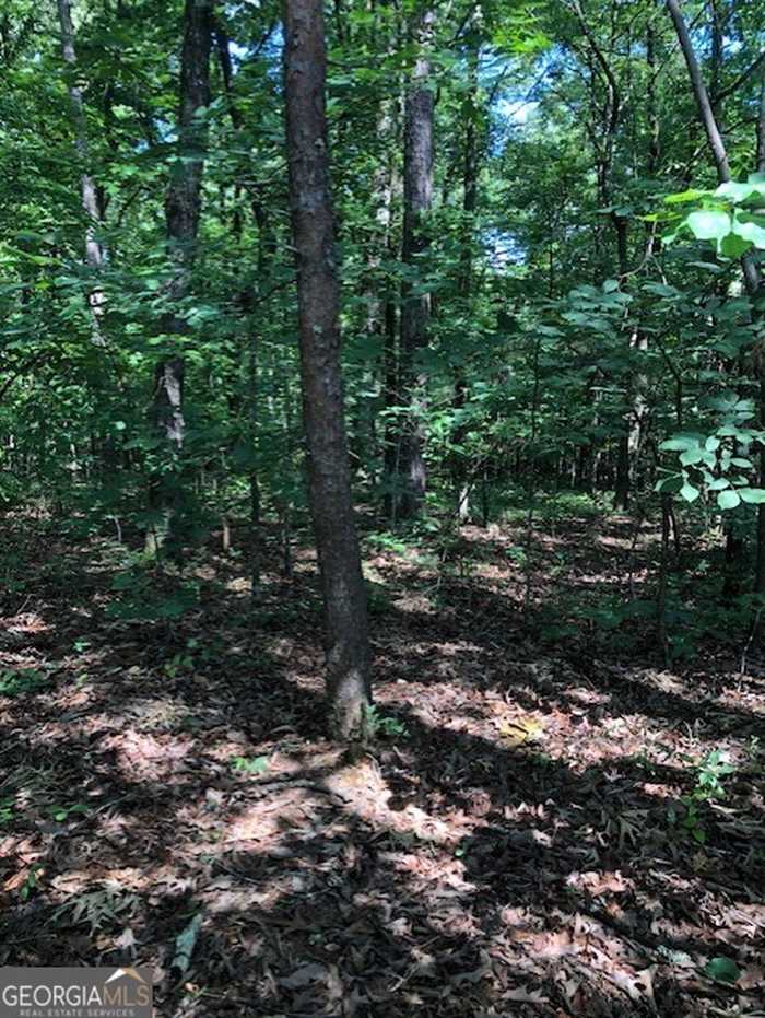 photo 1: LOT 2 Daniel Road, Demorest GA 30535