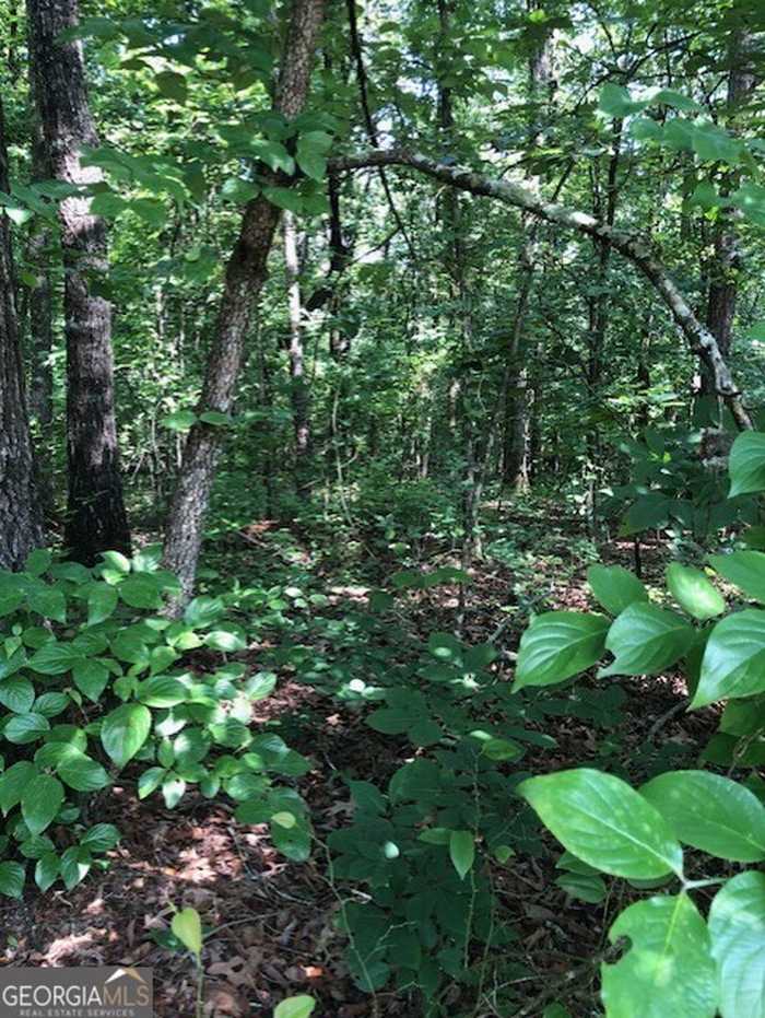 photo 6: LOT 3 Daniel Road, Demorest GA 30535