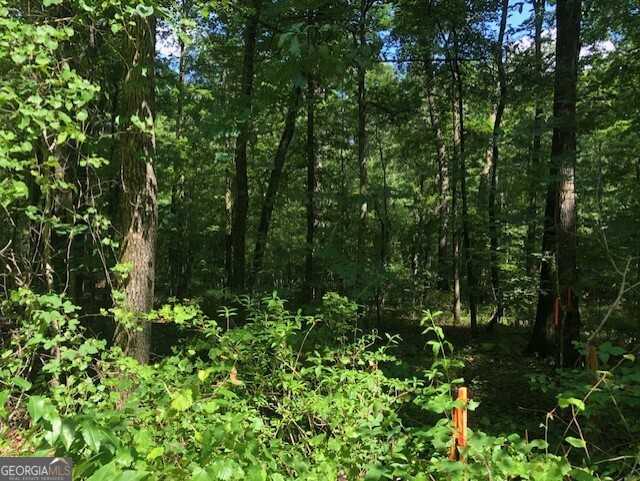 photo 1: LOT 5 Daniel Road, Demorest GA 30535