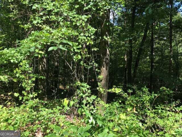 photo 3: LOT 5 Daniel Road, Demorest GA 30535