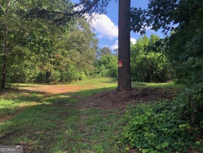 photo 1: LOT 6 Highway 17, Demorest GA 30535