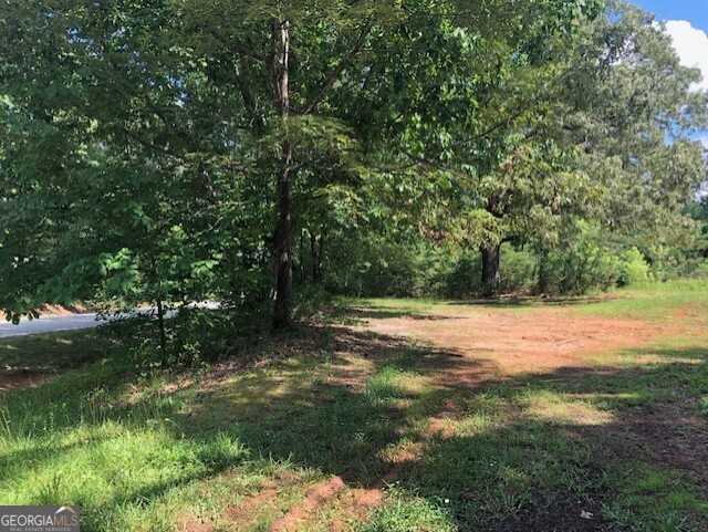 photo 3: LOT 6 Highway 17, Demorest GA 30535