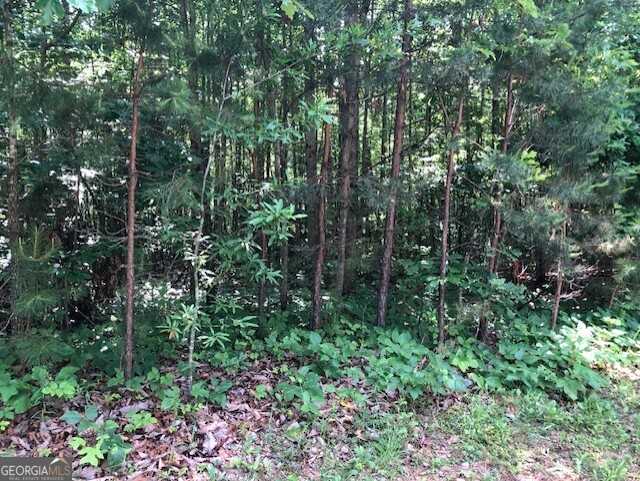 photo 1: LOT 7 Highway 17, Demorest GA 30535