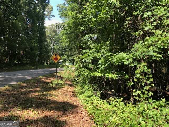 photo 2: LOT 7 Highway 17, Demorest GA 30535