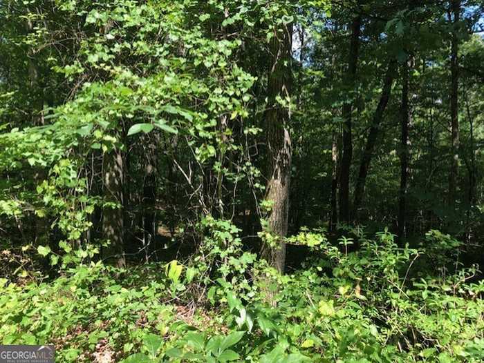 photo 3: LOT 7 Highway 17, Demorest GA 30535