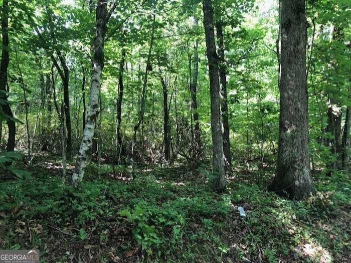 photo 2: LOT 9 Daniel Road, Demorest GA 30535