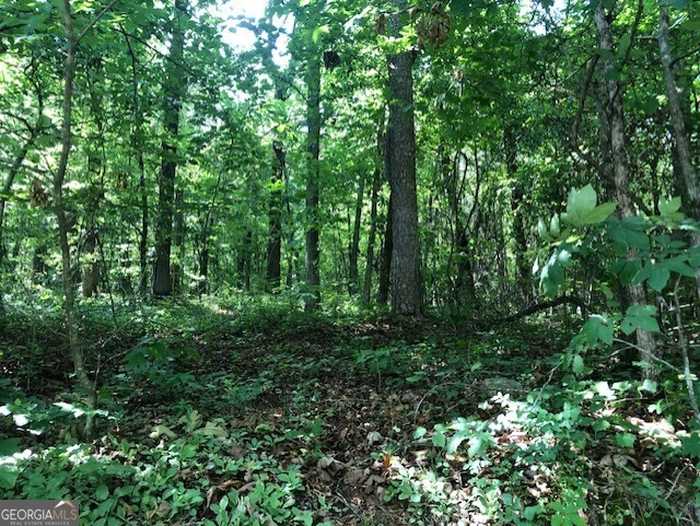 photo 3: LOT 9 Daniel Road, Demorest GA 30535