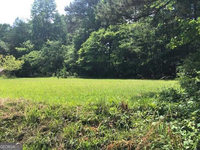 photo 3: LOT 10 Daniel Road, Demorest GA 30535