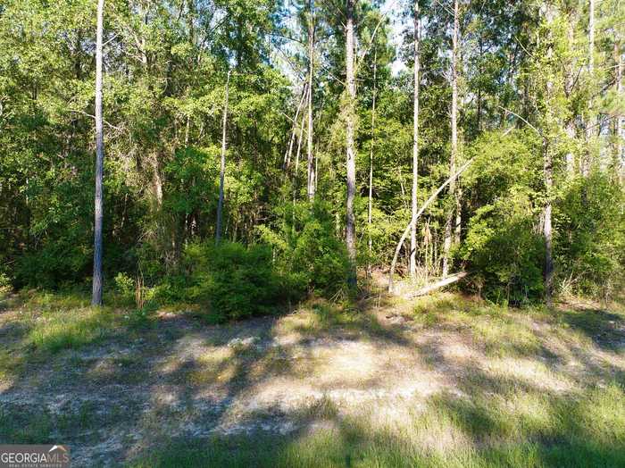 photo 2: 232 River Road, Lakeland GA 31635