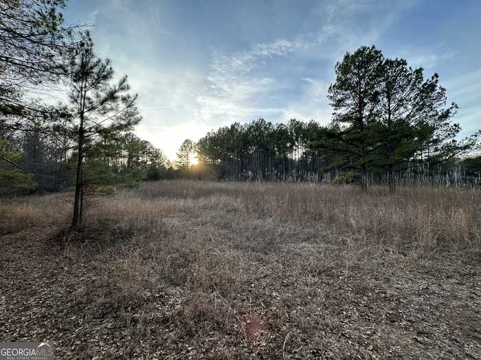 photo 5: Blue Store Road Unit TRACT 4, Forsyth GA 31029