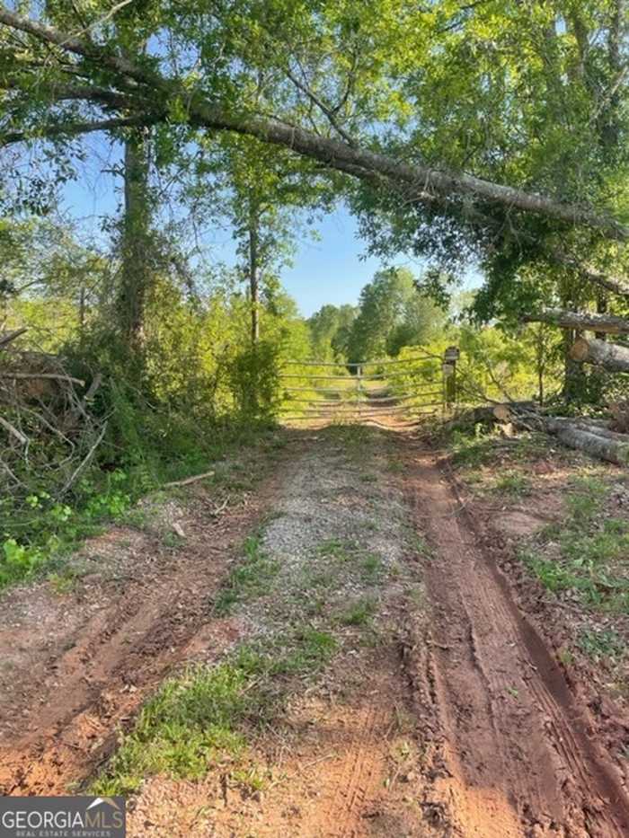 photo 1: Maloy Road, Griffin GA 30223