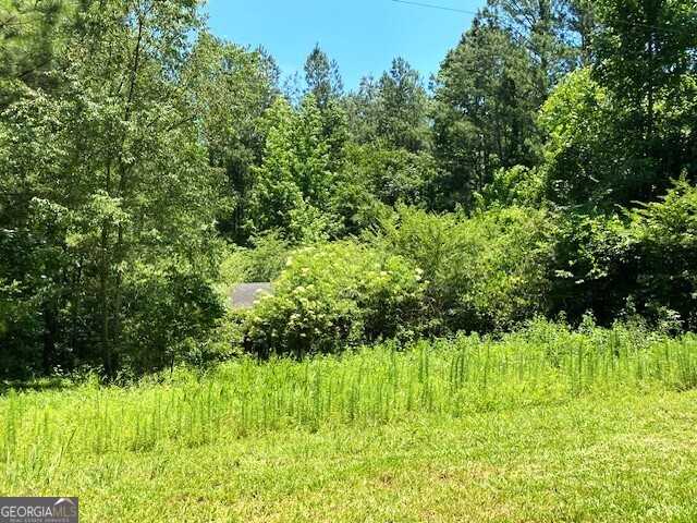 photo 3: 1107 Mahaley Road, Franklin GA 30217