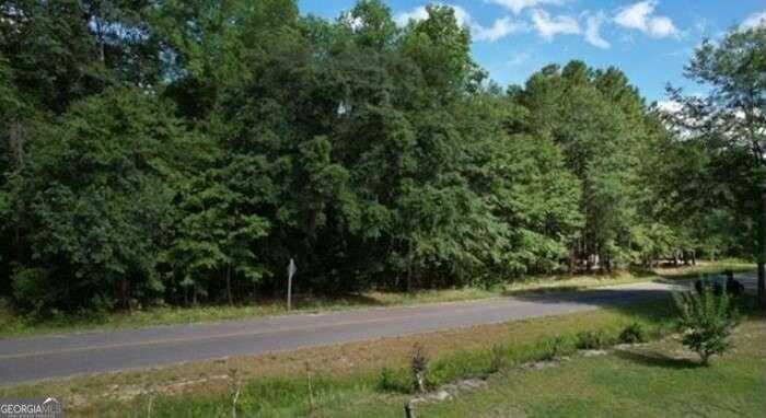 photo 1: Carver Avenue, Sylvania GA 30467