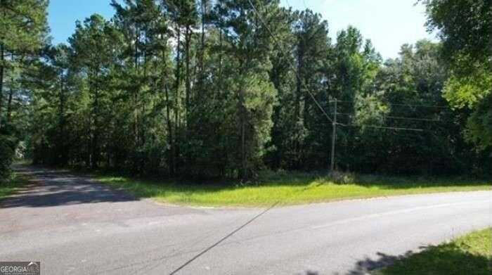 photo 2: Carver Avenue, Sylvania GA 30467