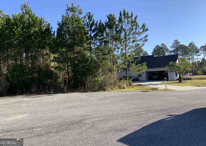 photo 1: 126 Michigan Way, Brunswick GA 31523