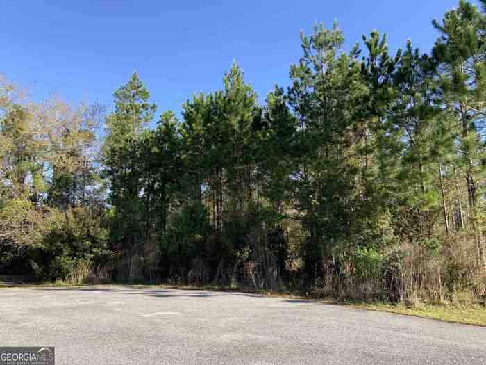 photo 2: 126 Michigan Way, Brunswick GA 31523