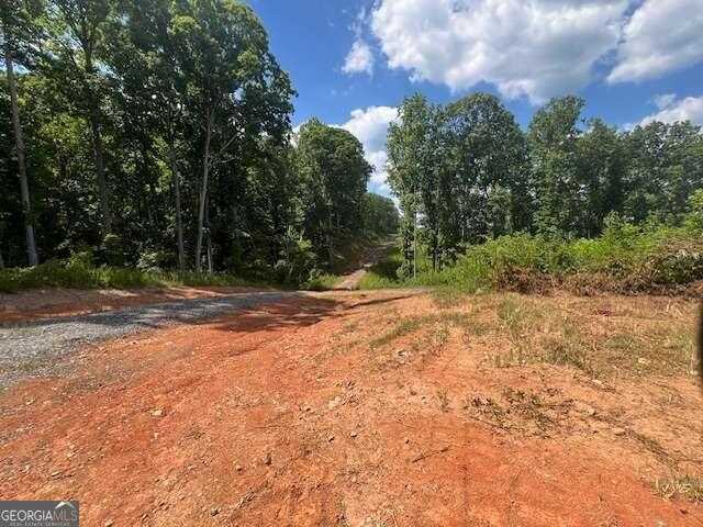 photo 2: 1425 Highway 61, Villa Rica GA 30180