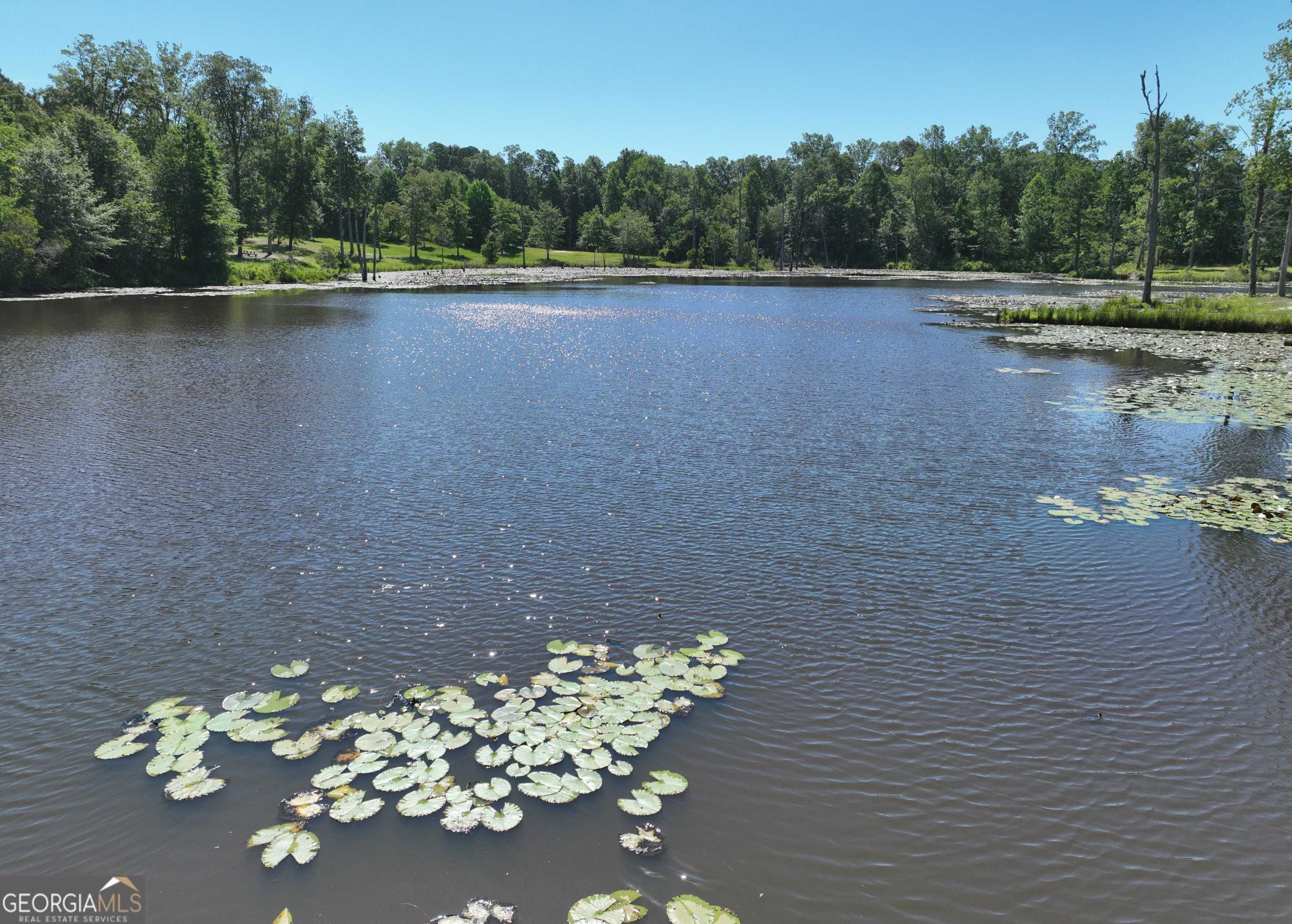 photo 3: 834 Cemetery Road, Sardis GA 30456