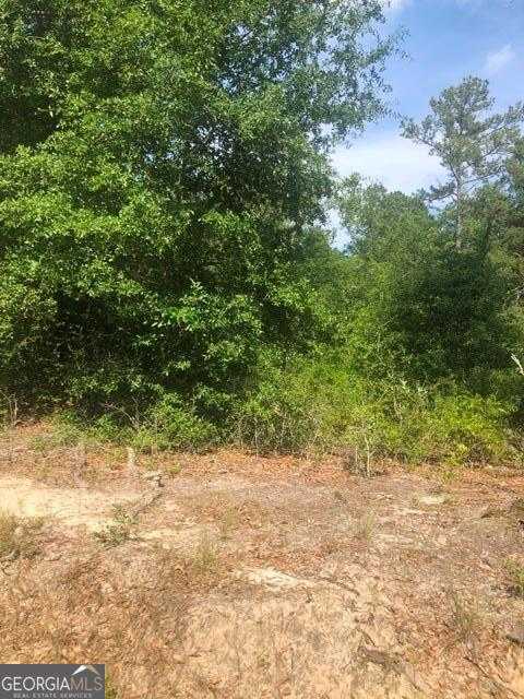 photo 1: 785 RIVERBANK RD, Reidsville GA 30453