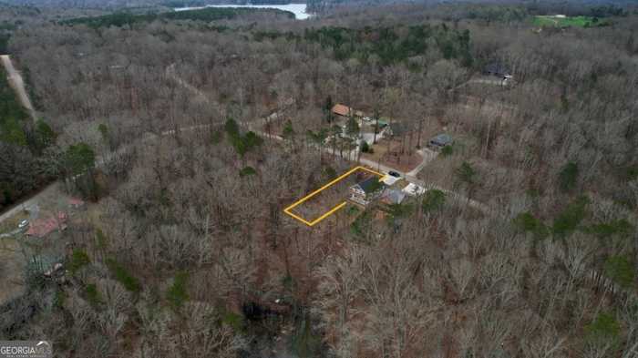 photo 7: Lake View Drive, Lavonia GA 30553