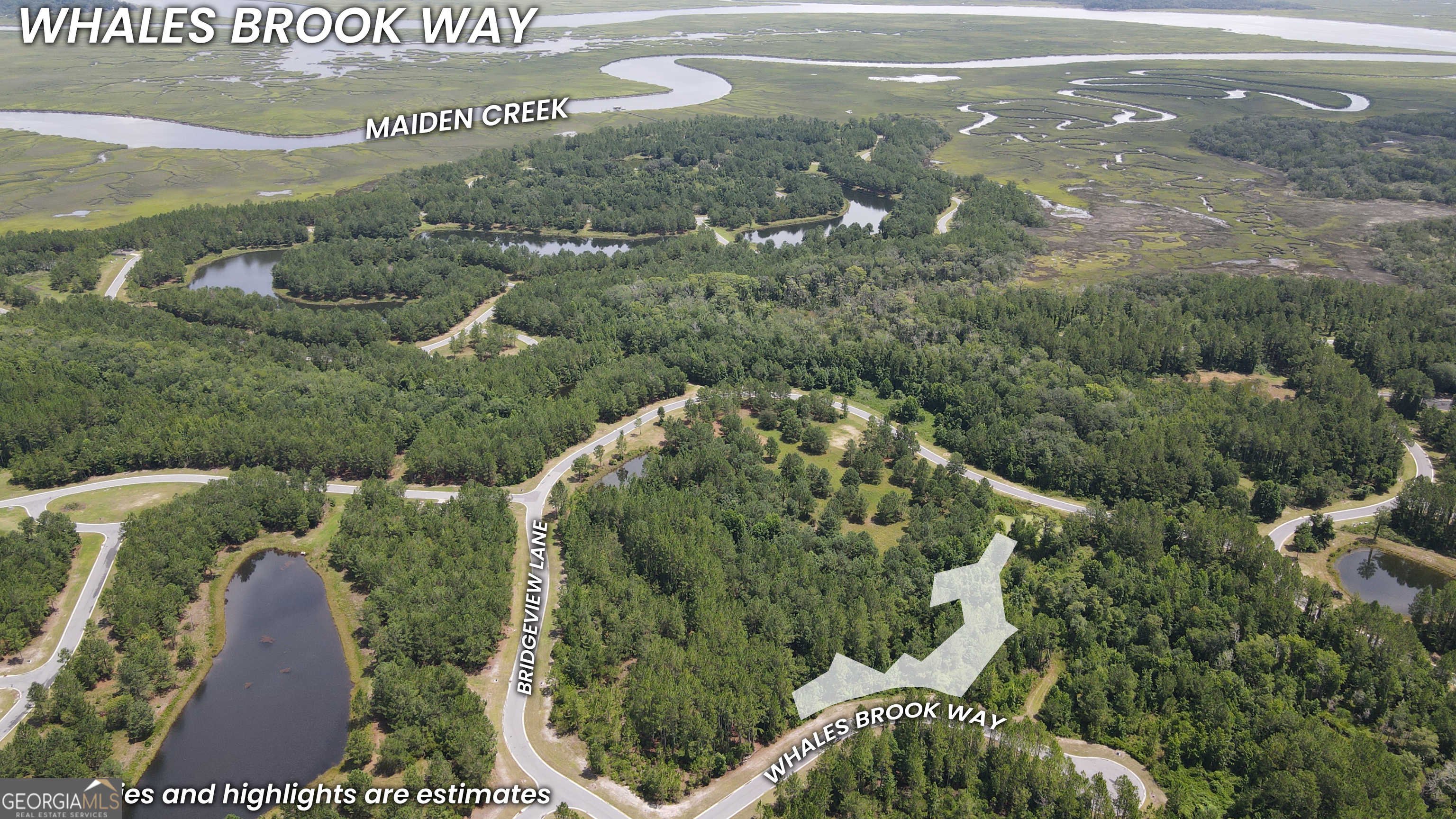 photo 1: LOT 394 Whales Brook Way, Waverly GA 31565