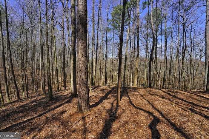 photo 2: Lester Road, Douglasville GA 30134